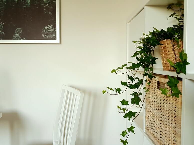 Baskets and plants on the white shelf on the right, white chair on the left