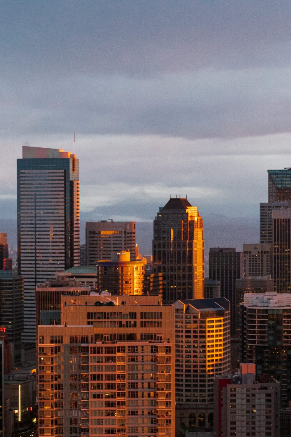 Modern brown and black high-rise buildings in the downtown Seattle skyline.